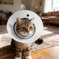 thumbnail image 4 of Collier de Récupération Doux pour Chat, Collier E Protecteur Ajustable pour après, 4 of 4