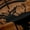 Brown Deer 01, variant on Homewish Deer Moose Elk Black Out Curtains, Jungle Hunting Wildlife Curtains Pack of 2 (42x63 Each), Southwestern Cabin Bedroom Curtains, Blackout Curtains Bedroom Decor