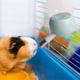 thumbnail image 3 of No-drip Dog Water Dispenser Bottle-can Be Raised And Lowered, 3 of 5