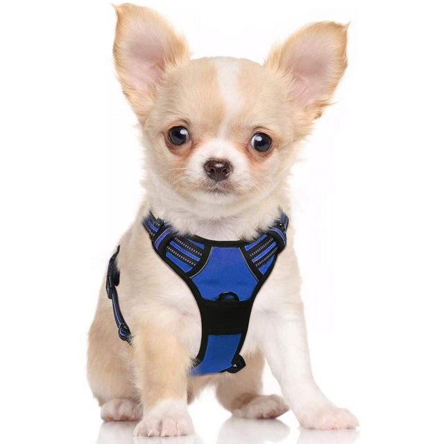 Rabbitgoo Arnés para Mascotas sin Tirones con 2 Clips para Correa, Acolchado Suave Ajustable, Chaleco Oxford Reflectante para Mascotas sin asfixia con asa de fácil Control para Perros Grandes, Rosa, L