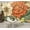 Brown/Green/Orange, variant on Peel and Stick Wallpaper Wall Murals Grizzly Bear Forest Rocky Mountain Modern Canvas 69"H x 96"W Removable Wall Paper Self-Adhesive Wall Decor for Bedroom Living Room Nursery