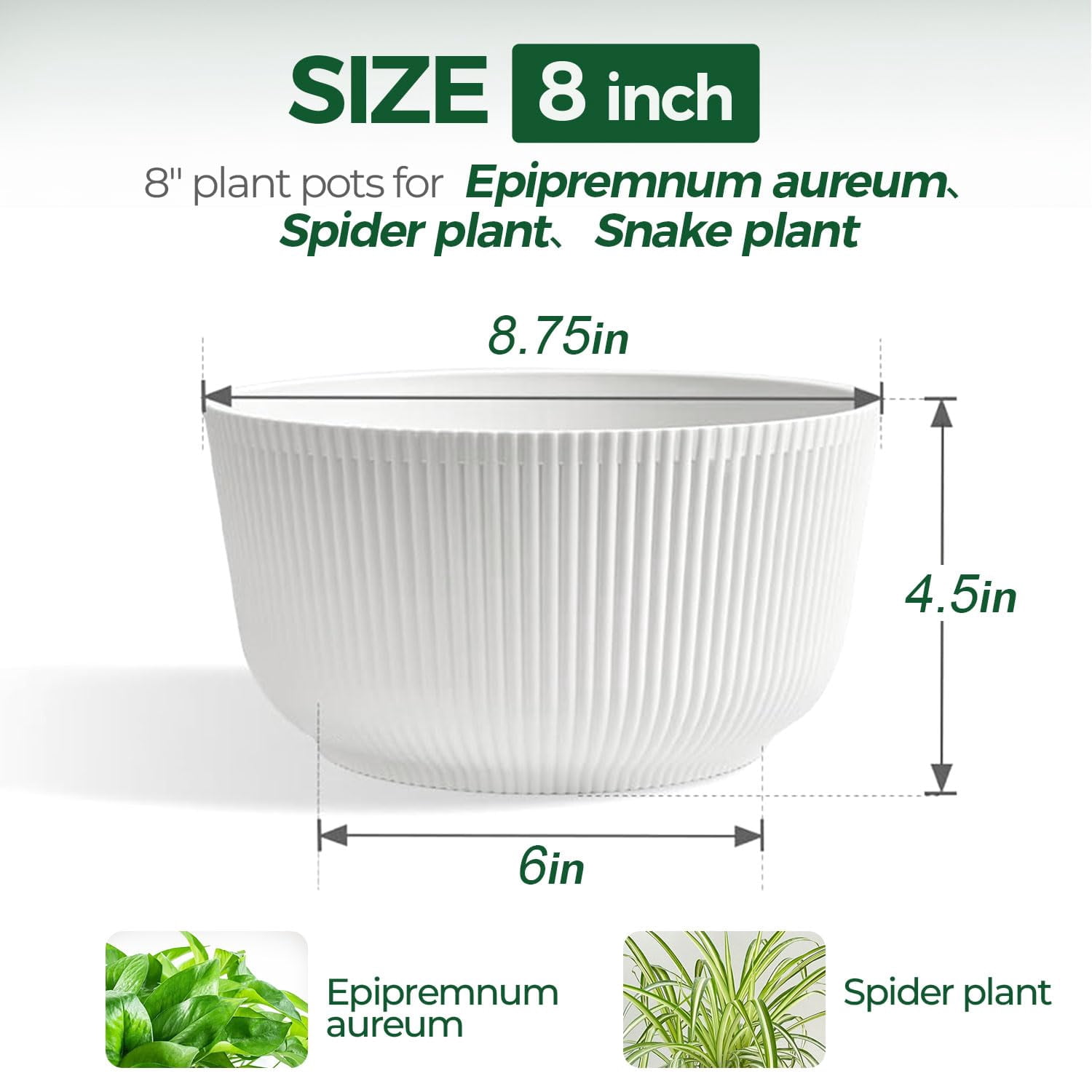 4 Inch Self Watering Plant Pots 6 Pack Small Indoor Planters for African Violets Succulents Durable White Plastic Gardening Containers