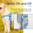 thumbnail image 4 of Arnés para perros ADVENTUREMORE, no tira, reflectante, L, para perros grandes, 4 of 6