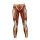 thumbnail image 2 of Women's High Waisted Leggings Anatomical Muscle Leggings Muscle Printed Fitness Pants Leggings for Girls Pilates Spring Women, 2 of 5