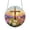 #002, variant on Acrylic Jigsaw Puzzle Suncatcher – Montessori Sun Catcher Puzzle for Windows Hanging, Fine Motor Skills Activity 7.8in #001