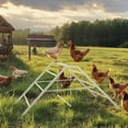 thumbnail image 6 of Metal Chicken Perch with Swing & Ladder - Heavy Duty Roosting Bar Gym for 10-12 Chickens, Grey, 6 of 6