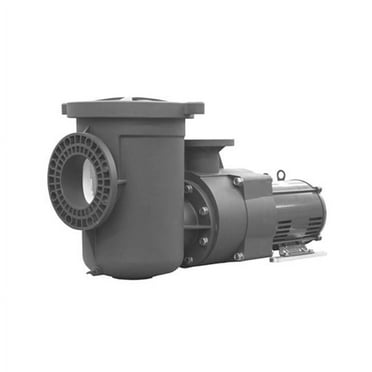 Pentair Pool Products 340030 Eq500 5 HP Eq Pump - 19.6 Amps