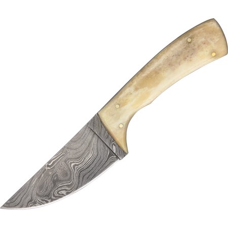 UPC 801608110746 product image for Szco Supplies DM-1074 Damascus Belly Skinner Knife | upcitemdb.com