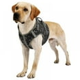 thumbnail image 1 of Dog Harness  Soft Leash Padded  Pull Dog Harness with All Kinds of Size, 1 of 11