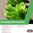 thumbnail image 2 of Harris Seeds - Organic Lettuce Seeds Super Jericho MTO Variety Light Green Leaves - 250 Seeds, 2 of 7