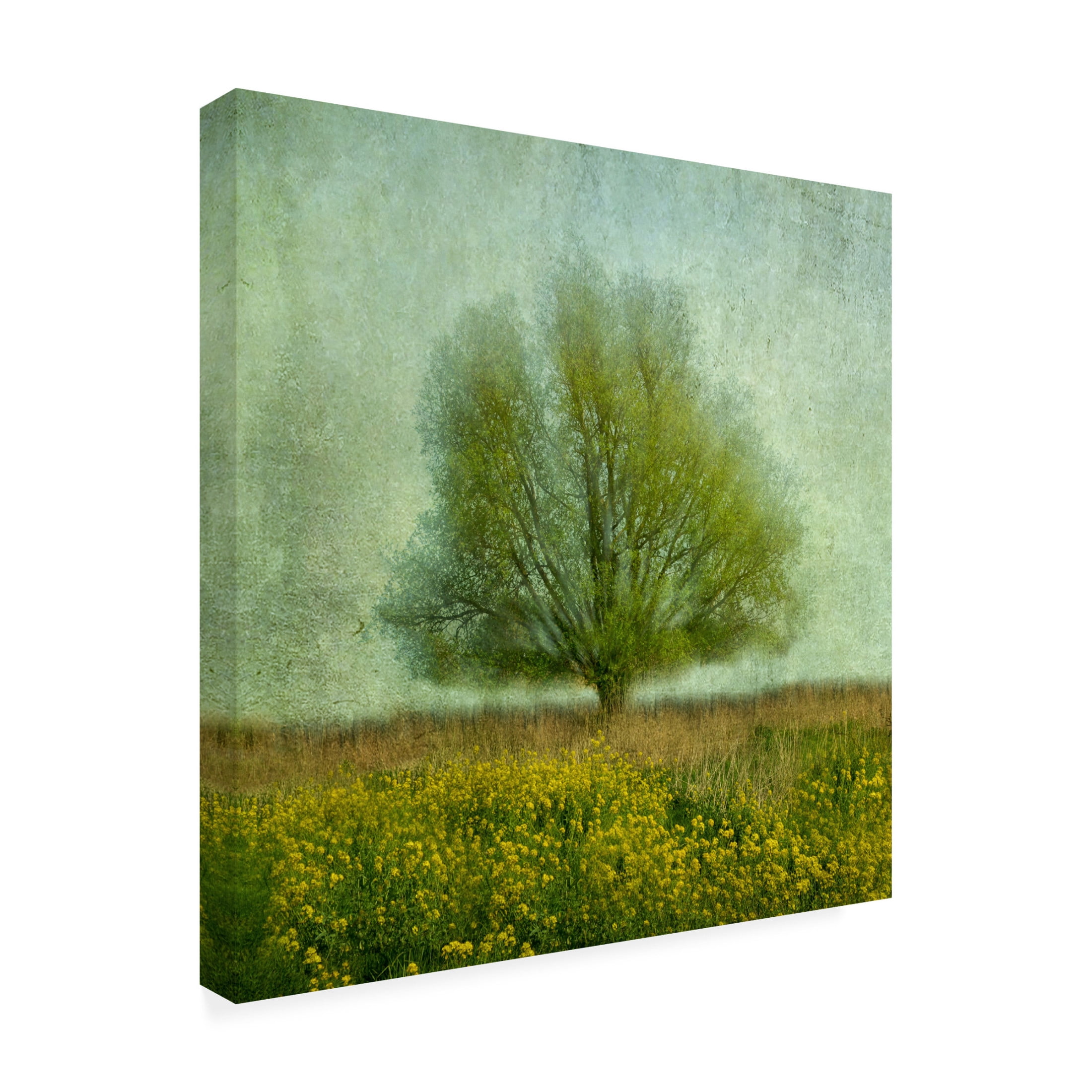 Canvas Wall Art - Gilbert Claes 'In The Yellow Field' Wall Art for Living Room, Bedroom, or Office Décor by Trademark Fine Art - 35 x 35 Inches
