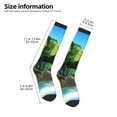 thumbnail image 3 of Saiise Bluey Funny Socks Men Women Boys Kids Adults Novelty Graphic Crew Tube Socks Crazy Design Casual Dress Socks for Sports,Running,Travel, 3 of 7