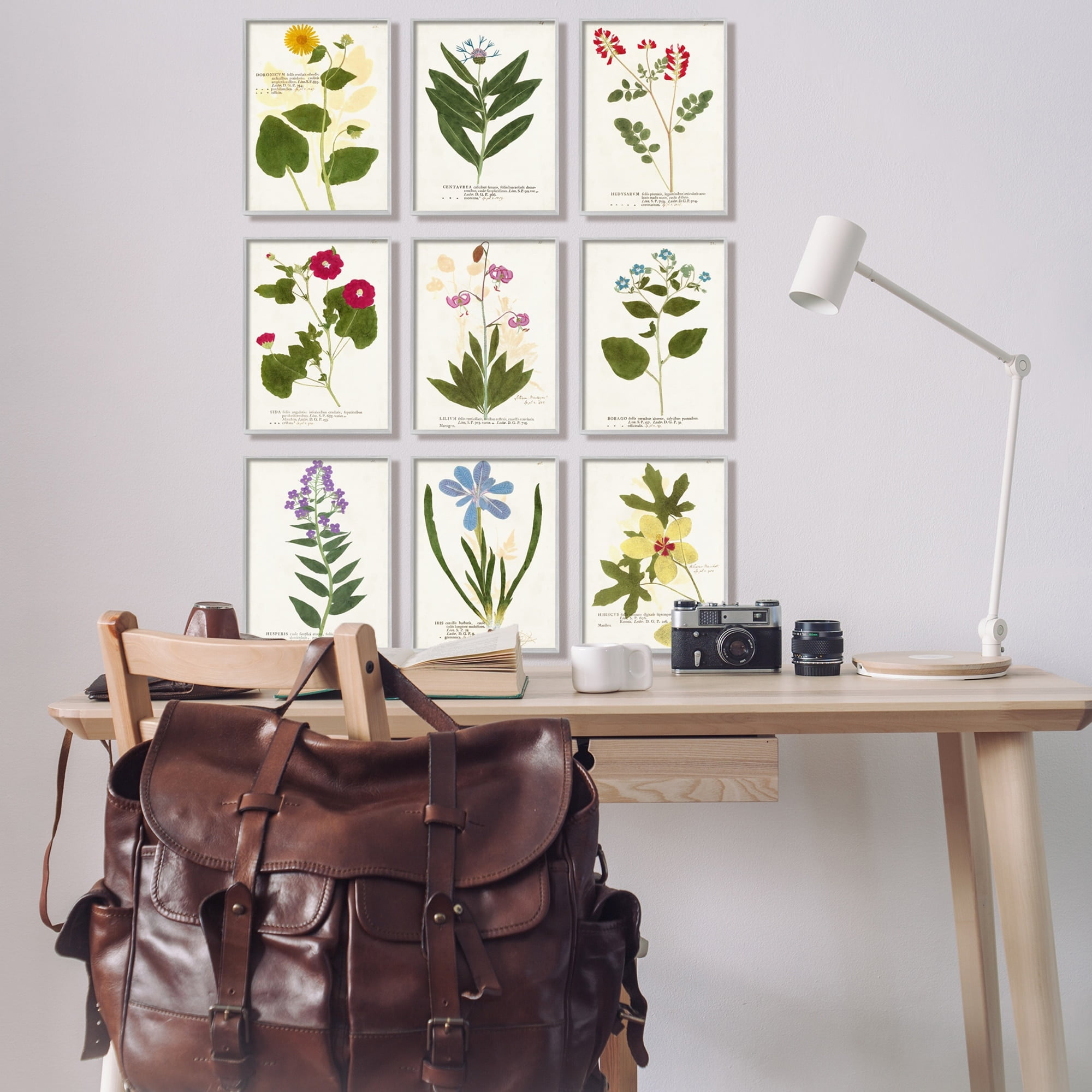 Stupell Industries Latin Botanical Flower Study Vintage Illustrations Antique Script Graphic Art Gray Framed Art Print Wall Art Set of 9, 11x14, by Vision Studio