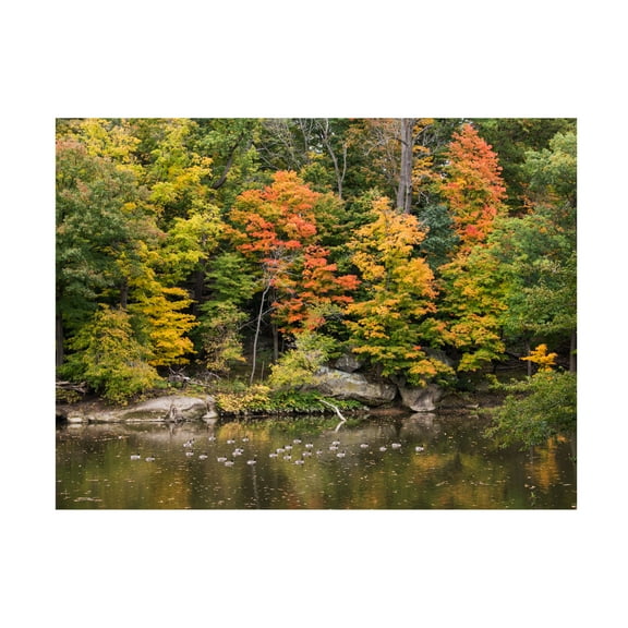 Trademark Fine Art Kurt Shaffer Early Fall Canvas Wall Art - 14x19
