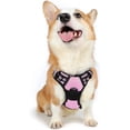 thumbnail image 1 of Rabbitgoo Arnés para Perros, Arnés para Mascotas Sin Tirones con 2 Clips para Correa, Chaleco Acolchado Suave Ajustable para Perros, Chaleco Oxford Reflectante para Mascotas sin Estrangulamiento con M, 1 of 4