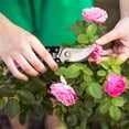 thumbnail image 5 of Ausyst Gardening Tools Garden Pruning Shears Stainless Steel Blades Handheld Pruners Premium Bypass Pruning Shears For Your Garden Clearance, 5 of 8