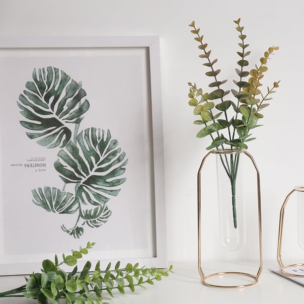 deliciosa variegata monstera Monstera Full Mint deliciosa borsigiana Variegata