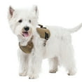 thumbnail image 3 of Dog Harness for Small Dogs No Pull, Puppy Harness and Leash Set, Step in Dog Harness for Walking, Running, Training, Small Dog Vest, 3 of 7