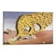 thumbnail image 1 of Salvador Dali Impresión Pintura El enigma de mi deseo o mi madre Póster Artístico Lienzo Pintura Decoración Pared Impresión Foto Regalos Hogar Moderno Carteles Decorativos 08x12 pulgadas (20x30 cm), 1 of 6