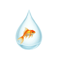 thumbnail image 3 of cartoon Goldfish Theme Stickers, Waterproof Goldfish Theme Sticker for Water Bottle Laptop Phone Cases Planner Skateboard Luggage Helmet Party Favor Decor, Ideal for Adults Teens Teacher Rewards, 3 of 9