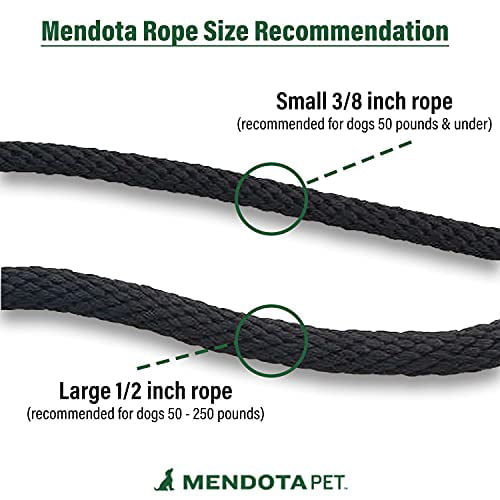 Made in The USA Mendota Pet Slip Leash Dog Lead and Collar Combo
