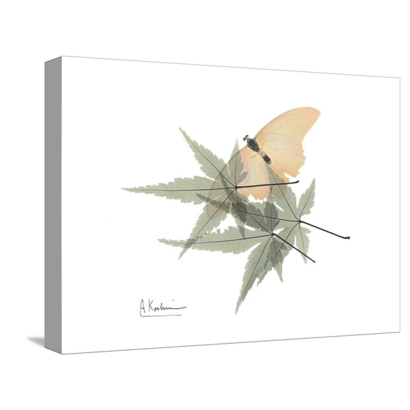 Art.com Japanese Maple Nature Stretched Canvas Print Wall Art by Albert Koetsier, 16" x 12"