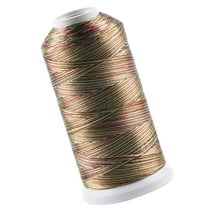 Worgeous  3 Strand Silk Thread for Tassel Making Variegated Embroidery Ice