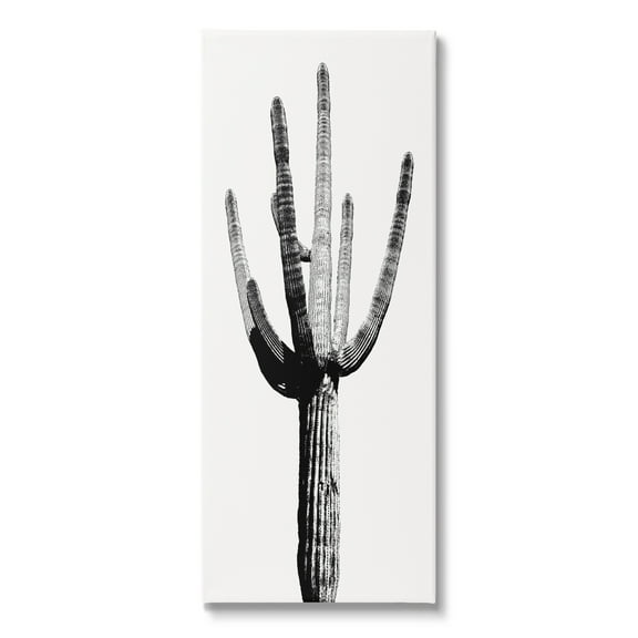Stupell Industries Modern Grey Cactus Botanical & Floral Painting Gallery Wrapped Canvas Print Wall Art, 10 x 24