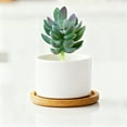 thumbnail image 3 of Succulentes Réalistes pour la Maison et Arrangement Succulent dans un Design Minimaliste Moderne pour Salon et Exposition Intérieure DIY, 3 of 4