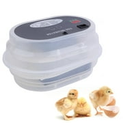 Egg Incubator 12 Eggs digit al Automatic Turning Hatcher Temperature Control