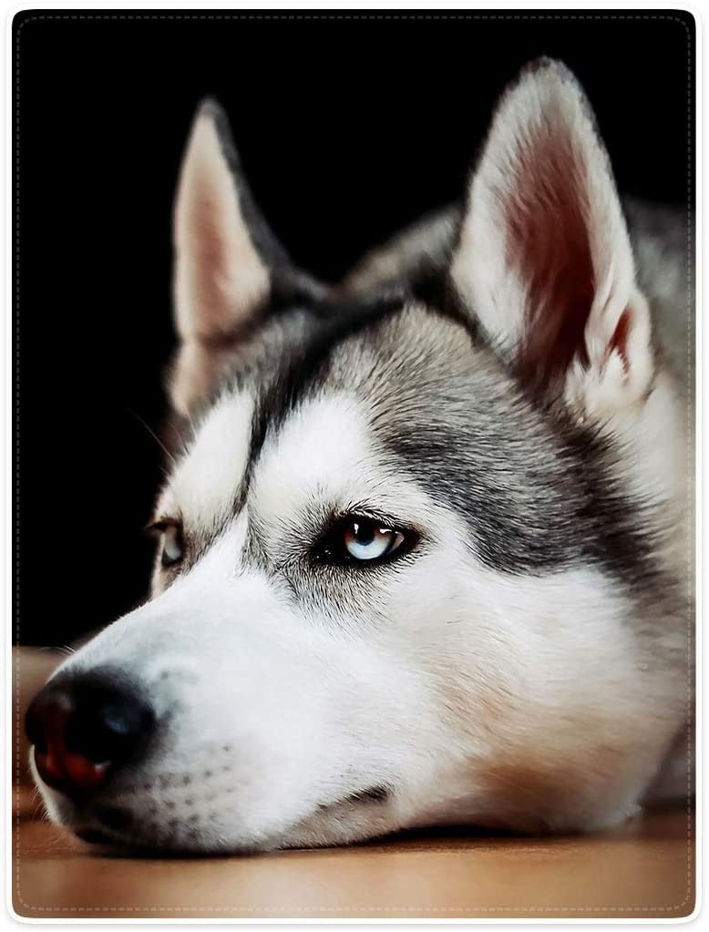 GDAKE Blankets Plush Sofa Bed Throw Blanket Dashed Husky Dog 40"x50