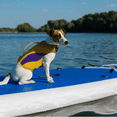 thumbnail image 3 of DOPI Dog Life Jacket Pet Ripstop Life Vest with Reflective Stripes High Flotation Dog Swimming Training Suit Adjustable Lifesaver Vest for Small Medium and Large Dogs, 3 of 3