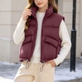 thumbnail image 4 of StSilkitty Puffer Vest for Boys Girls Zip up Sleeveless Stand Collar Jacket Coat Fall Winter Warm Outerwear with Pockets, 4 of 9