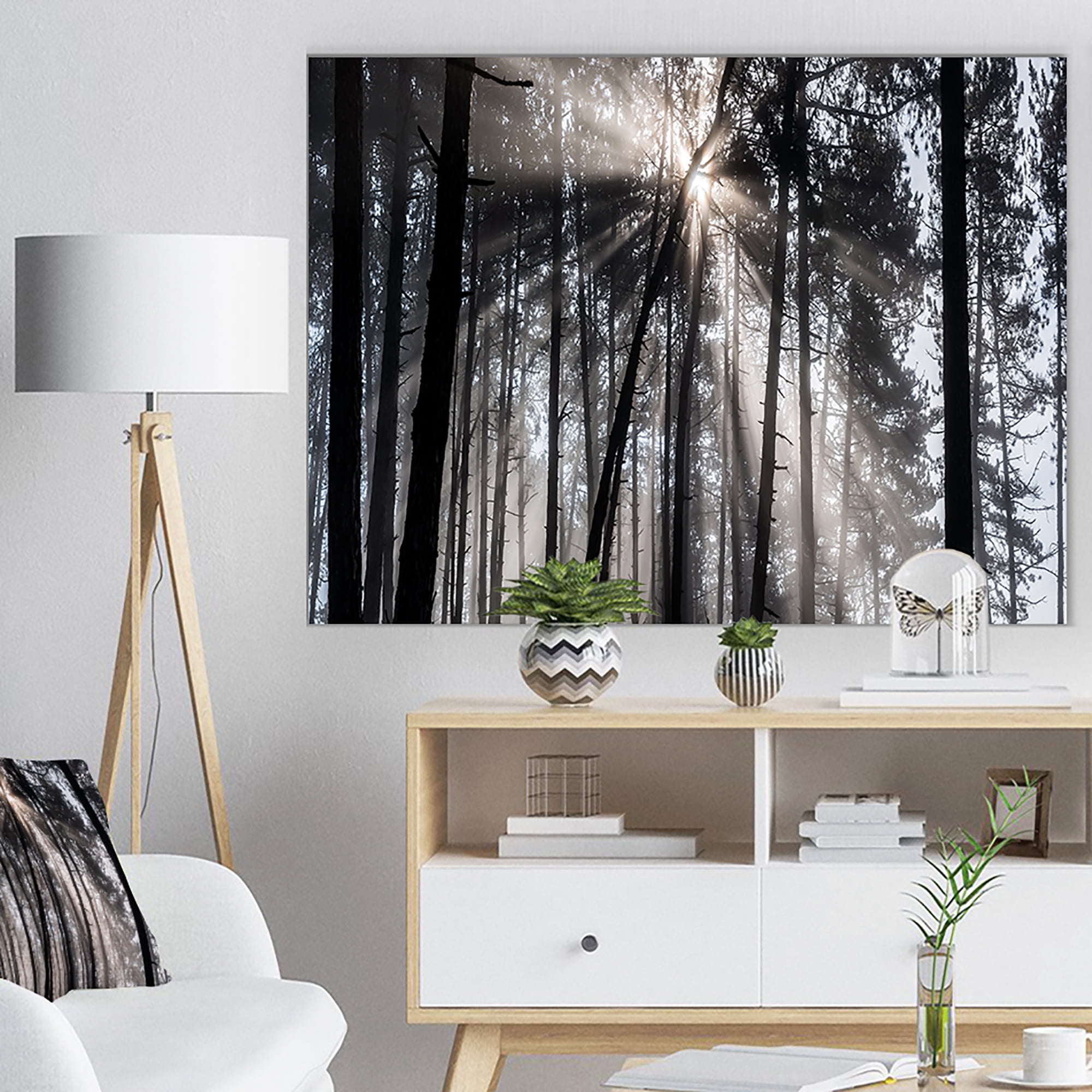 Designart 'Sunbeams through Black White Forest ' Forest Canvas Wall Art Print