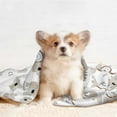 thumbnail image 4 of Rocae Cartoon Koala for Pet Blanket Dog Blanket Cat Blanket Soft Sleep for Small Medium Pet-Medium, 4 of 8