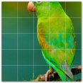 thumbnail image 1 of Picture-Tiles.com: Bird Ceramic Tile Wall Mural WAL500220-55M. 30"W x 30"H using (25) 6" x 6" Ceramic Tiles-Satin Finish, 1 of 3