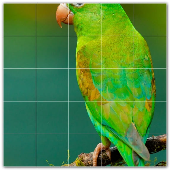 Picture-Tiles.com: Bird Ceramic Tile Wall Mural WAL500220-55M. 30"W x 30"H using (25) 6" x 6" Ceramic Tiles-Satin Finish