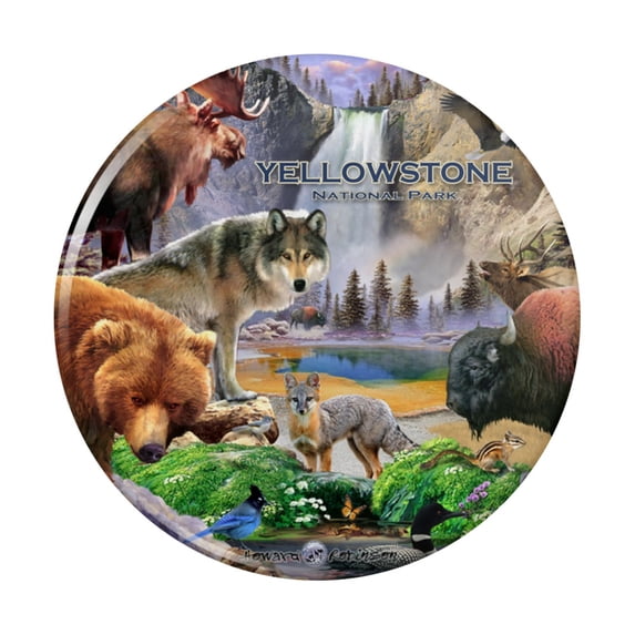 Yellowstone National Park Wyoming Montana Idaho Animals Wolf Bear Fox Bison Kitchen Refrigerator Locker Button Magnet