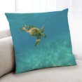 thumbnail image 1 of Ahgly Company State Hawaii Coussin d'Intérieur, 18 Pouces par 18 Pouces, 1 of 6
