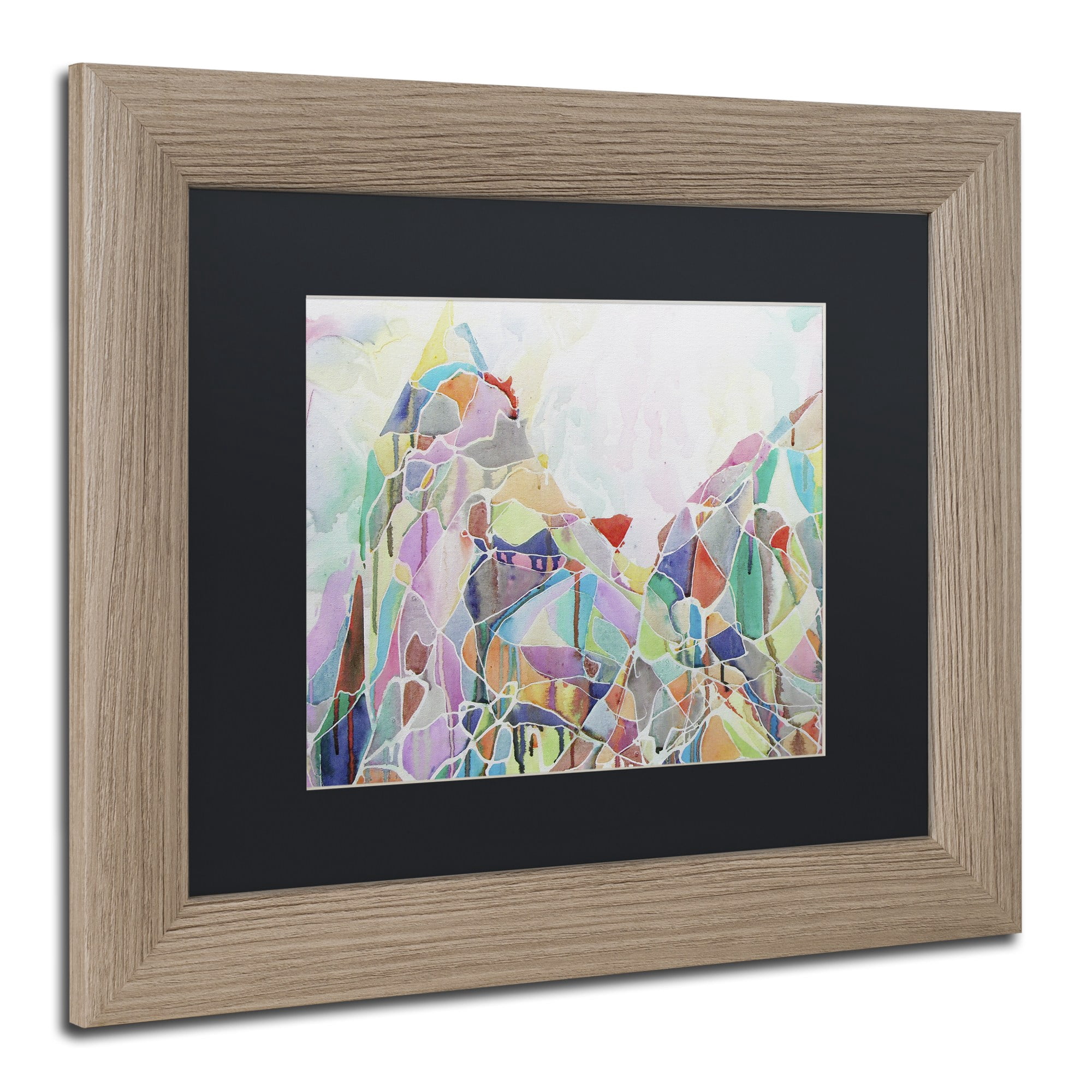 Trademark Fine Art "Mount Sidley" Canvas Art by Lauren Moss Black Matte, Birch Frame