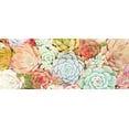 thumbnail image 2 of Kimberly, Allen 24x12 White Modern Wood Framed Museum Art Print Titled - Colorful Succulents 1, 2 of 4