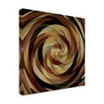 thumbnail image 2 of David Manlove 'Cinnamon Roll' Canvas Art, 2 of 3