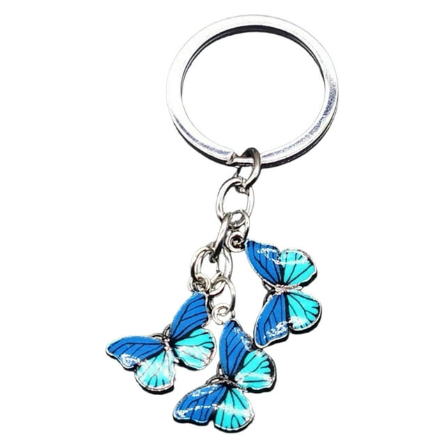 Hearth & Gear Durable Stainless Steel Keychain With Secure Locking Mechanism For Everyday Carry And Organization