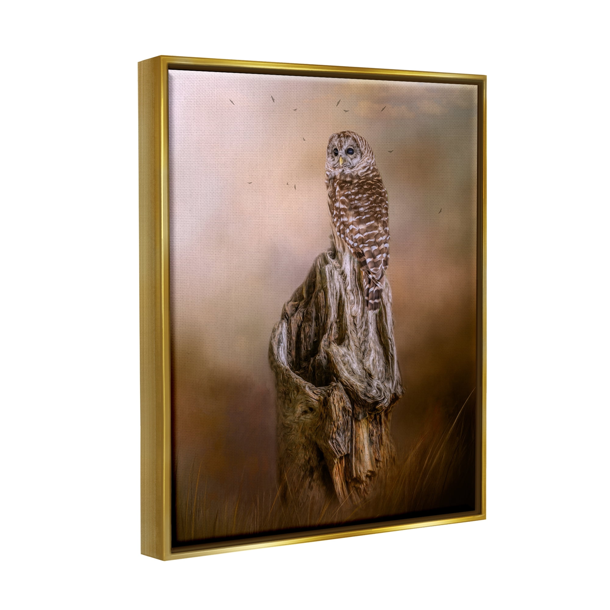 Stupell Barred Owl Perched Tree Trunk Nature Animals & Insects Photography Gold Floater Framed Art Print Wall Art