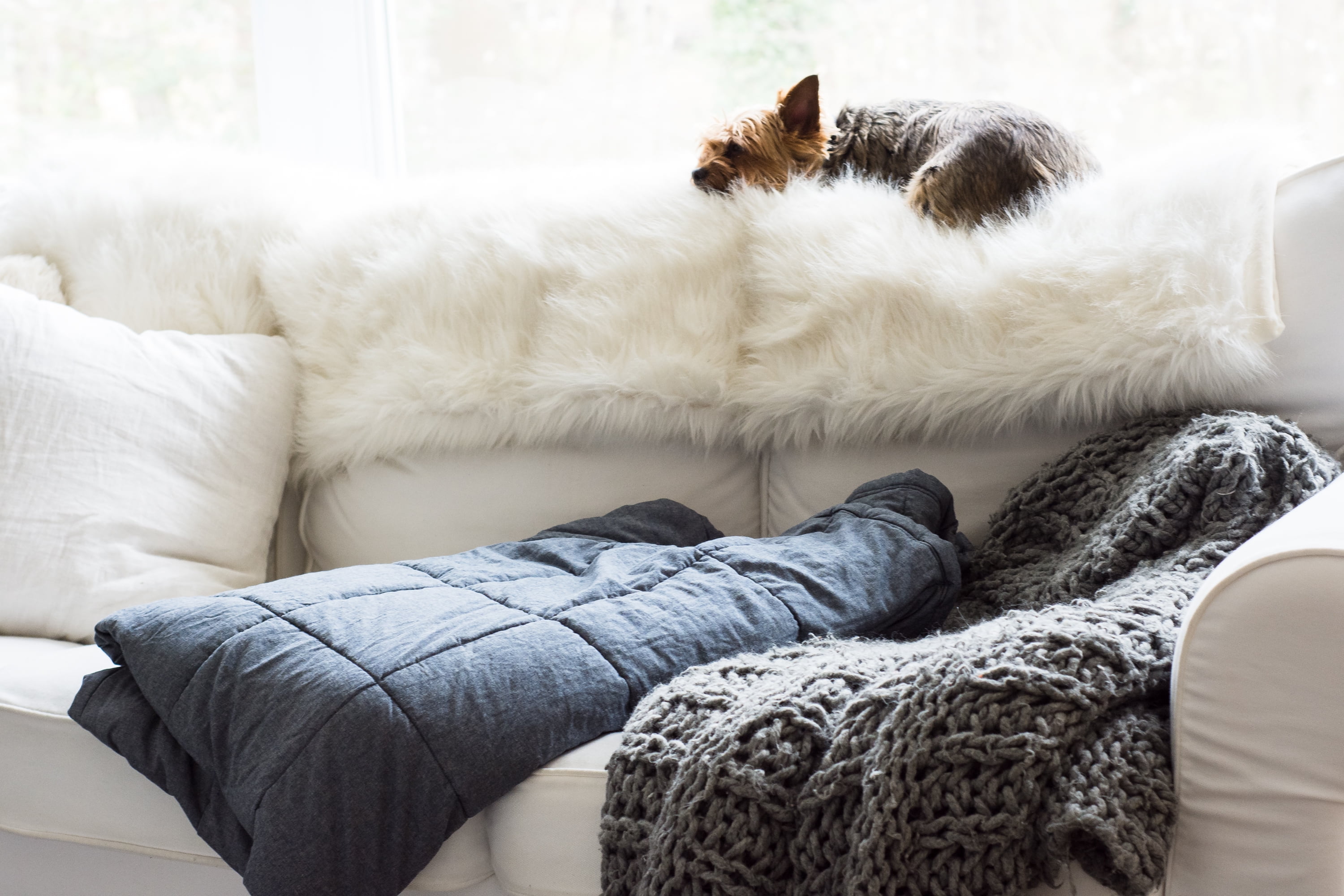 Large Yorkville Weighted Blanket (14 lbs) - Walmart.com - Walmart.com