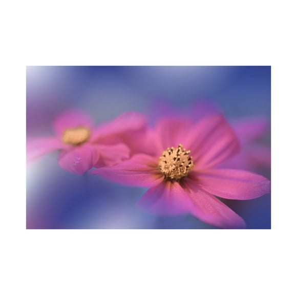 Trademark Fine Art Juliana Nan A Colorful World Canvas Wall Art