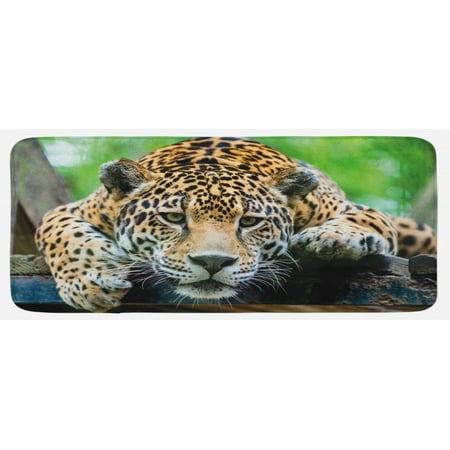 

Jungle Kitchen Mat South American Jaguar Wild Animal Carnivore Endangered Feline Safari Image Plush Decorative Kitchen Mat with Non Slip Backing 47 X 19 Orange Black Green by Ambesonne