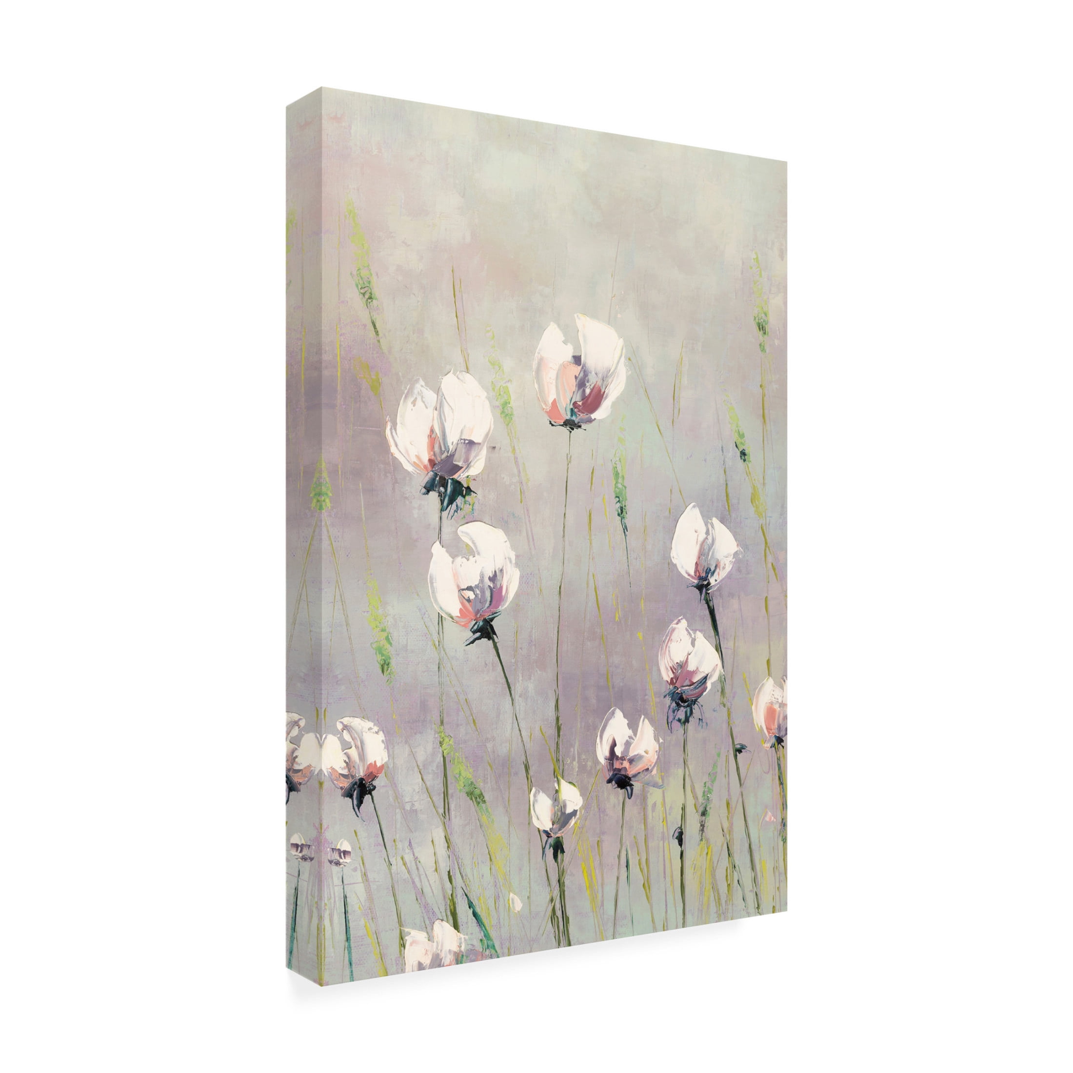 Canvas Wall Art - Emma Coghlan 'White Tulips' Wall Art for Living Room, Bedroom, or Office Décor by Trademark Fine Art - 12 x 19 Inches