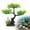 F, variant on Aquarium Tree Trunk Large Plants Decorations, Simulation Resin Cherry Blossom Tree & Aquatic Plants Aquarium Decor, Goldfish Tank Decorations Set, Fish Tank Hides Tree Decoration Kit