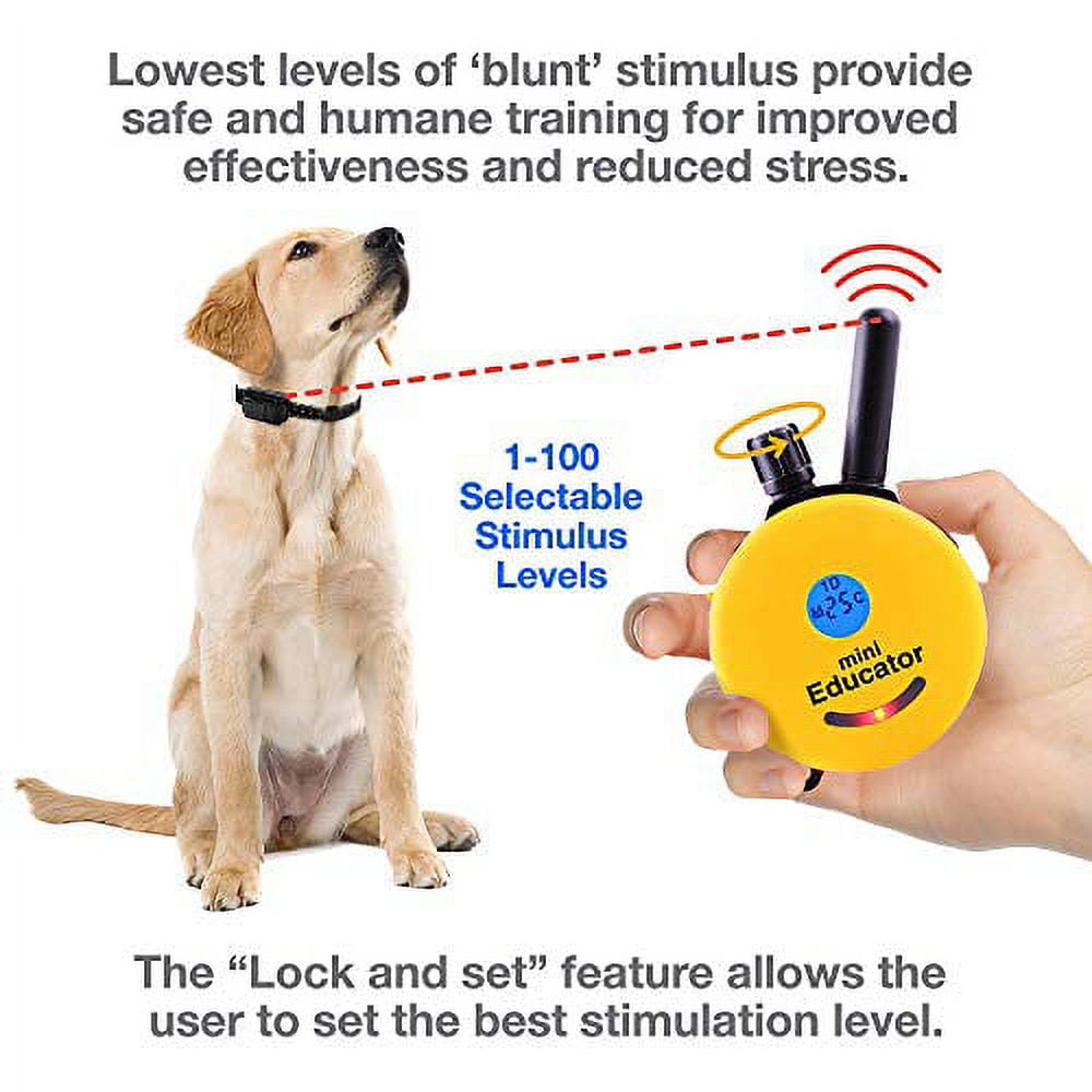 educator working dog training collars